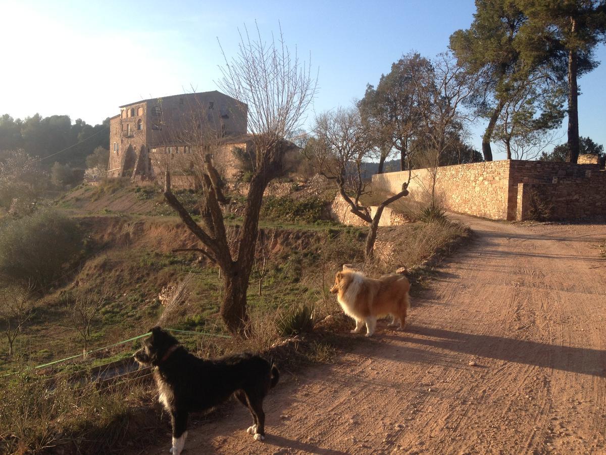 Masia Casajoana Rural Rellinars Exterior photo